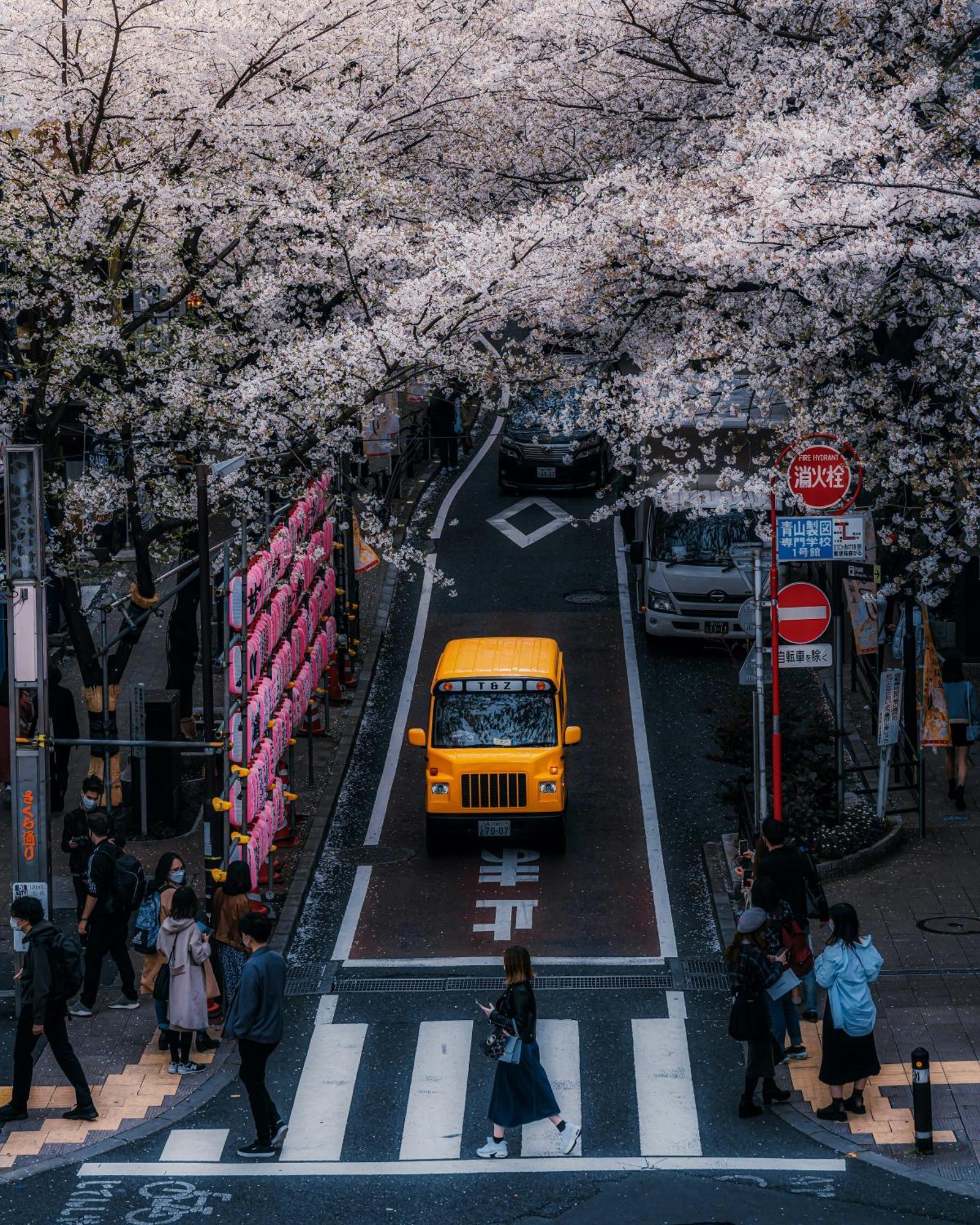 Illi Mani Shibuya Hotell Tokyo Eksteriør bilde